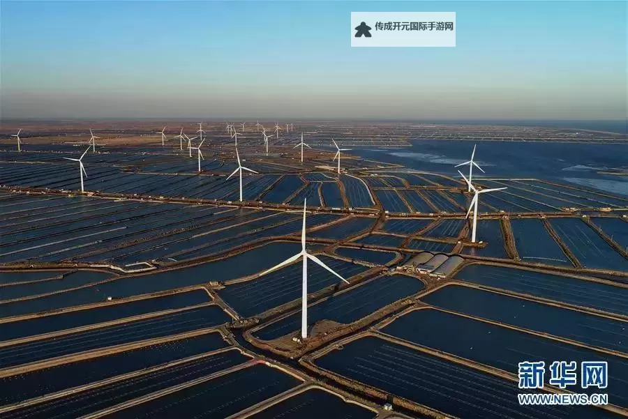 中国家园网：共筑美丽家园的新动能图1