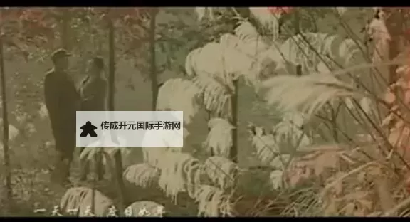 揭秘男人的天堂污染：背后隐藏的环境隐忧图1