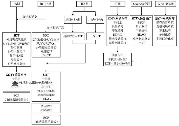 《命运方舟》瘟疫P2机制流程速览图1