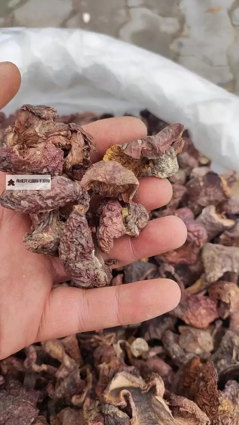 紫黑蘑菇横冲直撞引发红肿JH：奇异事件背后的秘密图1
