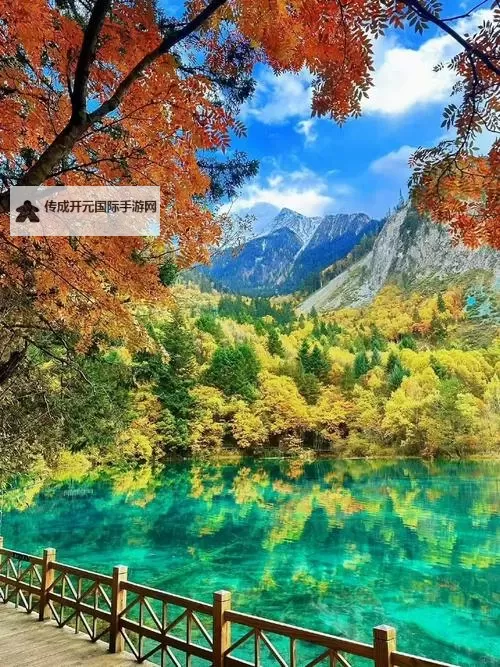 偷拍美女祛疤一区二区：揭秘隐秘祛疤秘密与美丽转变图1