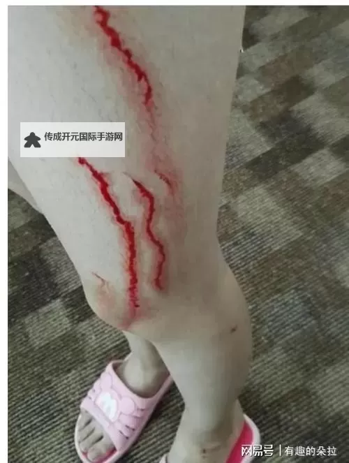 《浴室少女20天恐怖图片：揭示阴影中的恐惧之旅》图1