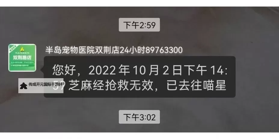 《探探猫大作战》铜雀台玩法介绍  《探探猫大作战》红颜喵养成攻略图1