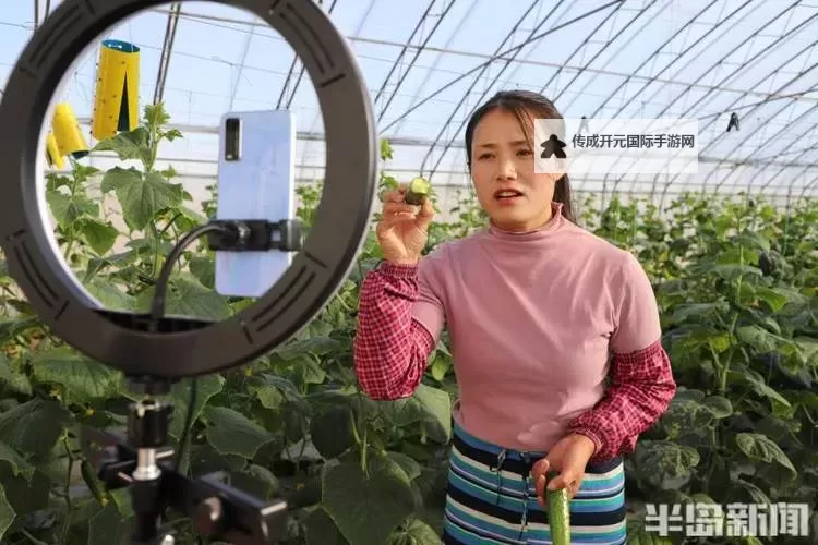 黄瓜直播在线播放：在线看最新精彩内容的最佳平台图1