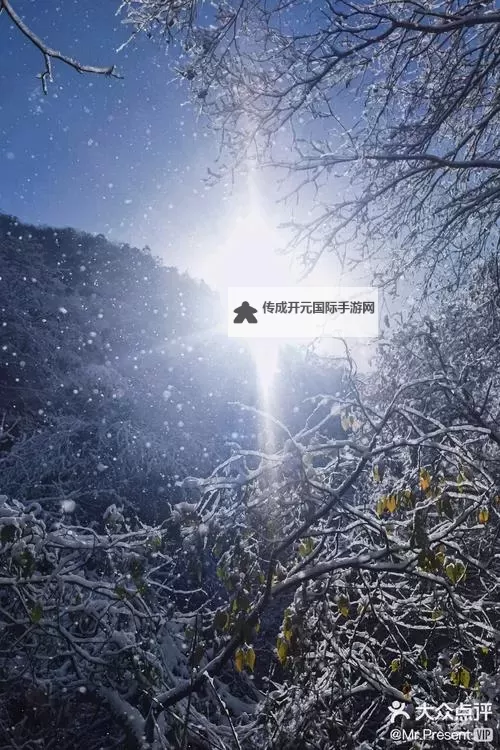 《光与影33号远征队》40号远征队日志获取方法 40号远征队日志怎么获得图2