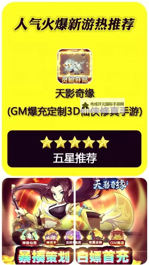 天影奇缘怎么双开  天影奇缘双开挂机软件推荐图1