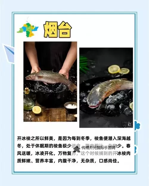 《冰湖》钓梭鱼装备推荐 梭鱼怎么钓图1
