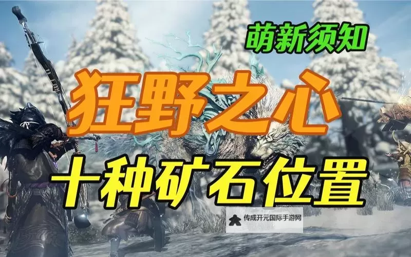 《狂野之心》芯石获取及使用方法 芯石怎么获得图2