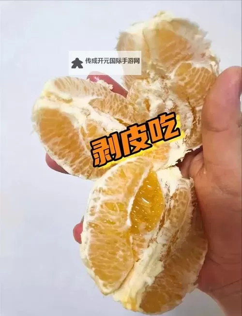 《拯救橙子3：果园危机的终极战役》图1