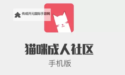 探索快乐时光：猫咪社区免费看片尽享萌趣瞬间图1