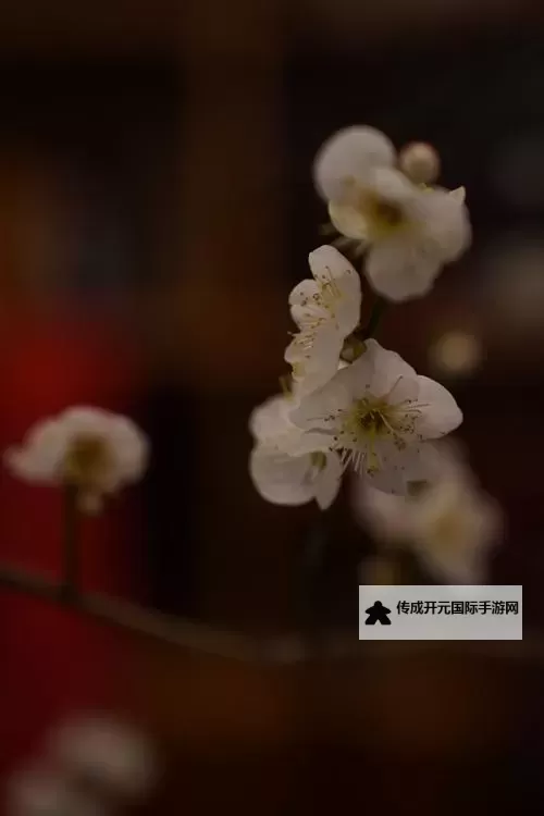 《无畏契约》橙色疾影系列全皮肤实机演示图1