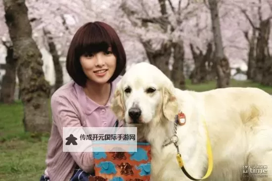 探索狗与人类激情网页：人宠情感的深度交流图1