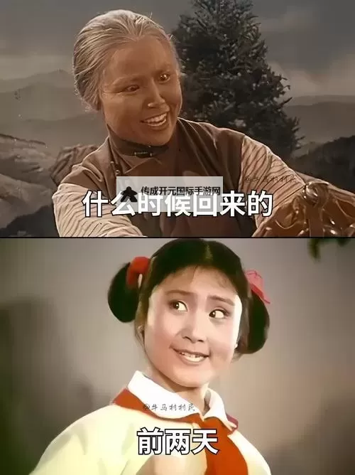 中国BGMBGMBGM老太太70在线：不老传说的真实故事图1