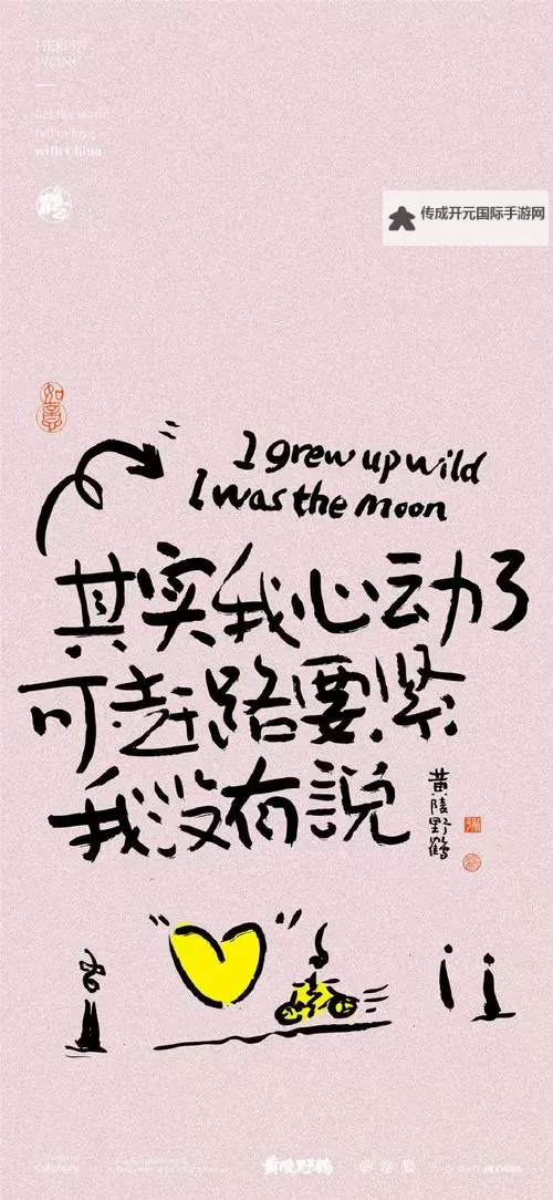 最新指南：如何在2019年手机上下载和使用中文字幕资源图2