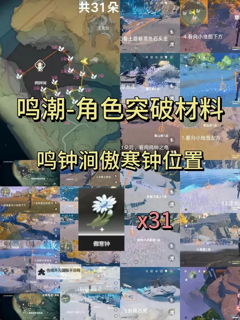 《鸣潮》傲寒钟高效采集路线分享 傲寒钟详细点位一览图1