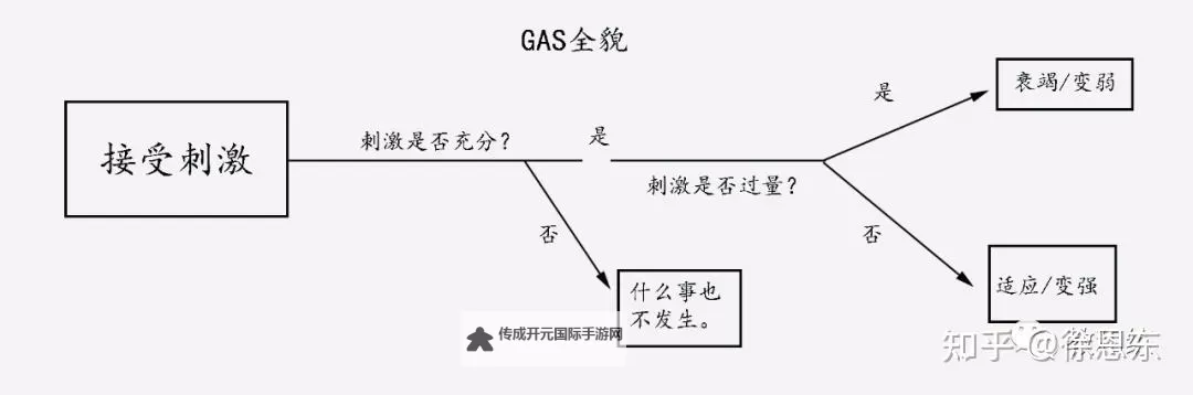 综合一和综合二图片区别在哪：详细解析与差异对比图1