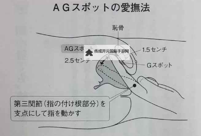 怎样玩隐私位置:保护隐私的实用技巧与方法图2