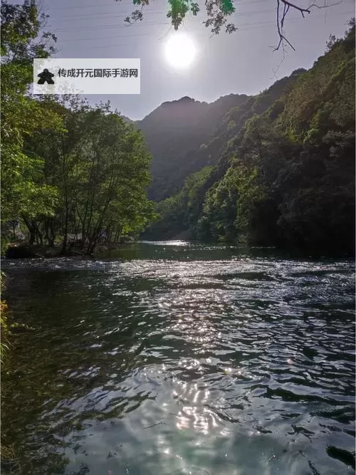 探索中国国产免费毛卡片：优质选择推荐图1