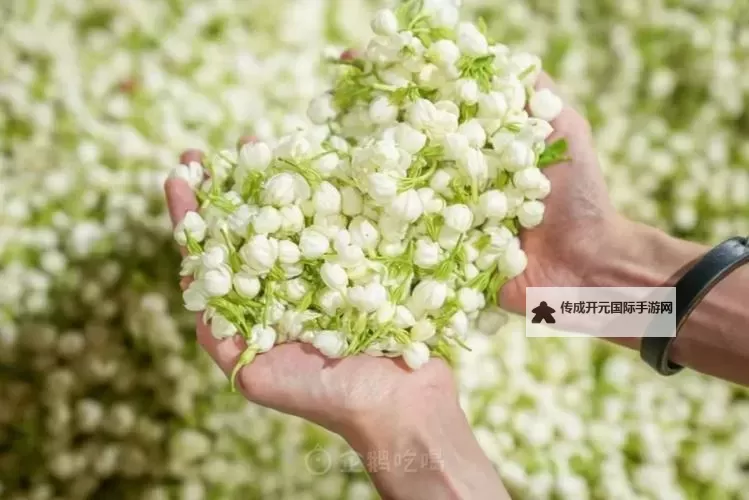 晚间使用提醒：如何有效禁用100款应用提升专注力图2