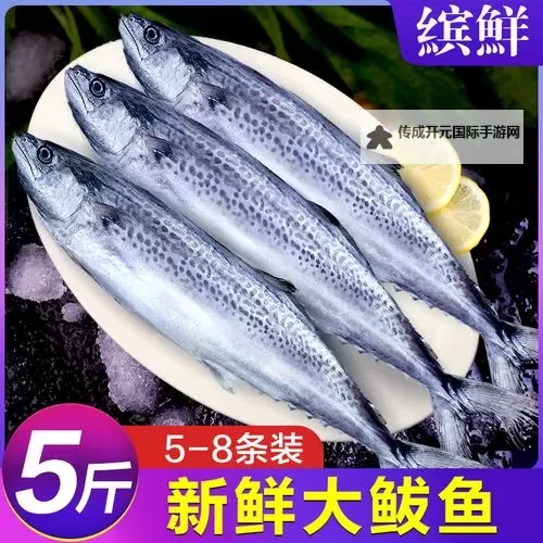在线观看鲅鱼官网：最新高清视频全攻略图2