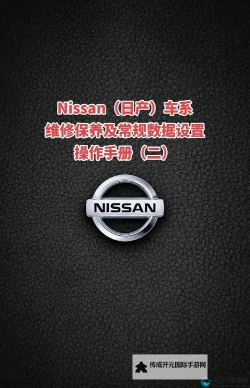中文字日产幕码三区的做法大全：详尽教程与实用技巧图2