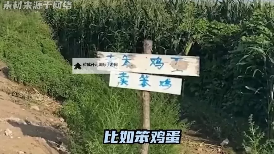 在东北，一切笨的东西都会被吃掉：乡土风味与智慧碰撞的另类生存法则图1