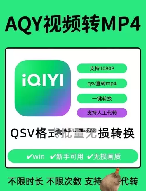 怎样安装成人播放器的详细步骤指南图1