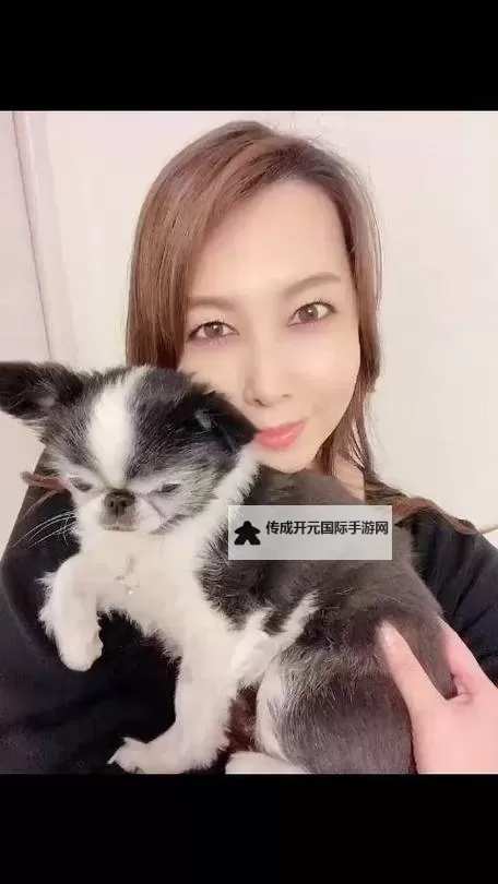 风间由美给丈夫视频留言信：温馨甜蜜的家庭情感表达图1