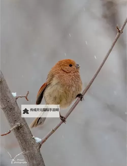 十点后舞蹈视频在线观看免费，轻松享受午夜舞动的精彩时刻图1