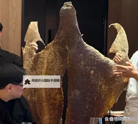 坐在黑的发紫的巨龙上吃饭:一段奇幻的冒险之旅图1