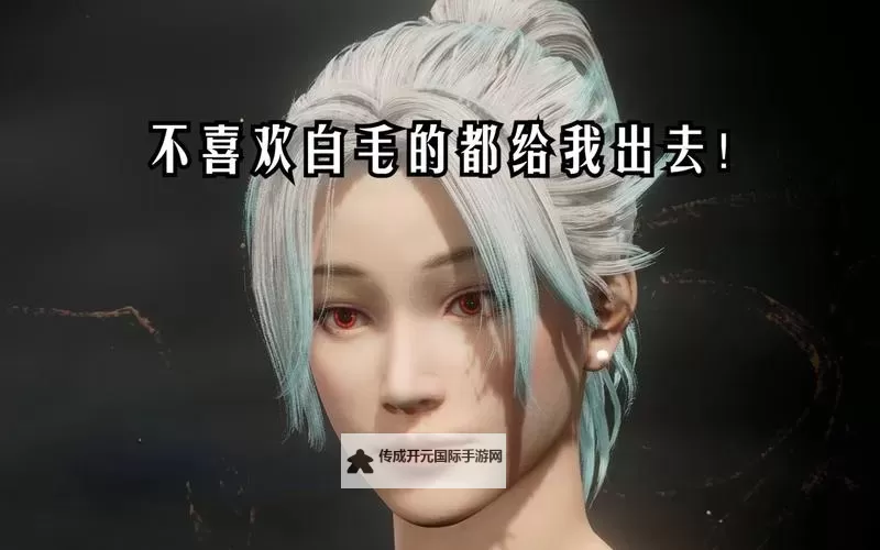 《卧龙苍天陨落》欧美异域妹子捏脸数据图1