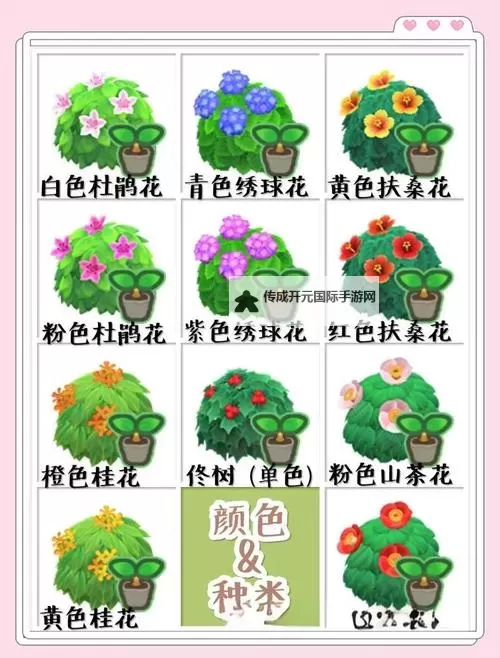 《动物森友会》园艺店介绍与灌木种植技巧图1