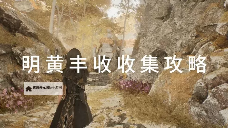 《光与影33号远征队》吕涅陶纹结获取方法 陶纹结属性及词条一览图1