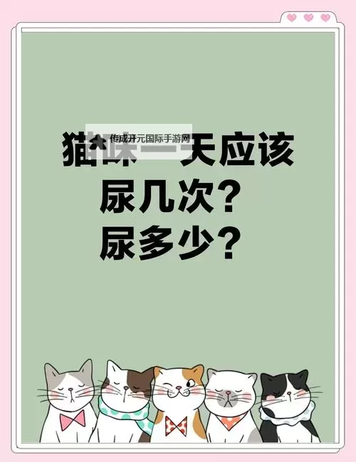 主人规定一天只能尿一次：奇特规则引发的思考图1