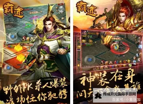 霸途怎么双开  霸途双开挂机软件推荐图1