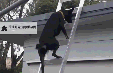 早就想在楼梯要你：我心中的秘密瞬间图1