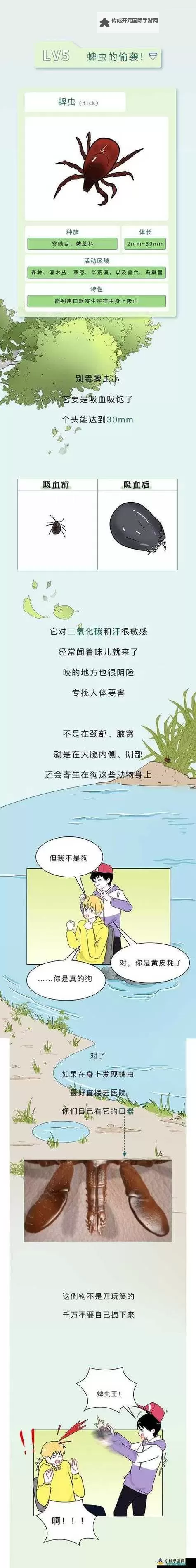 虫虫漫画官方页面免费漫画指南｜全方位SEO优化攻略图1