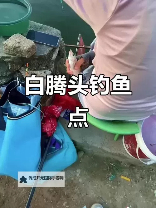 探索珠海钓鱼网：畅享海钓乐趣的必备平台图1