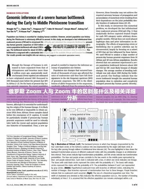 最新ZOOM俄罗斯全新功能揭秘，助你突破远程沟通新体验图1