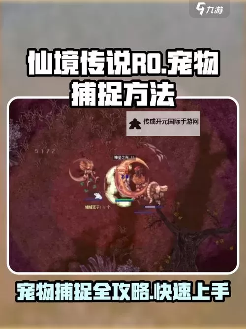 《仙境传说新启航》宠物攻略：宠物养成系统详解！图1