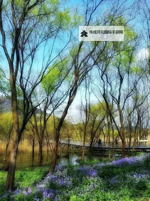 探索粉色ABB苏州晶体的ISO结构特性与应用潜能图1