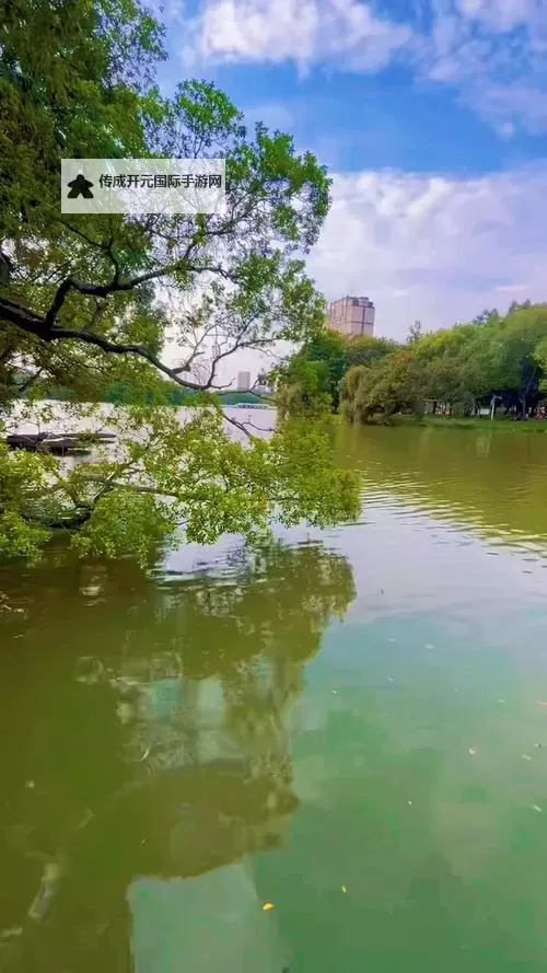 提升教学效率：全面解析在线课堂录播系统的优势与应用图1