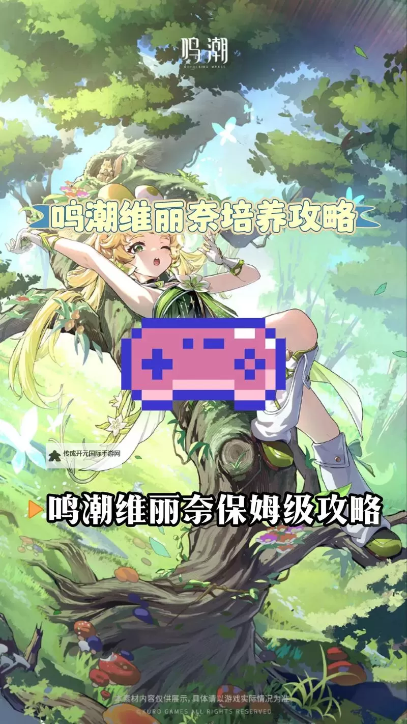 《鸣潮》维里奈养成一图流 维里奈怎么培养图2