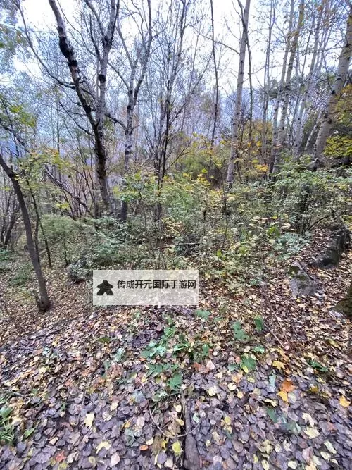 《星空》最终BOSS逃课过关方法图1