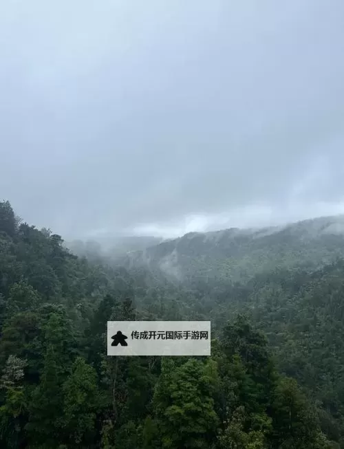 霓虹夜的自白：深爱五月天无马图1