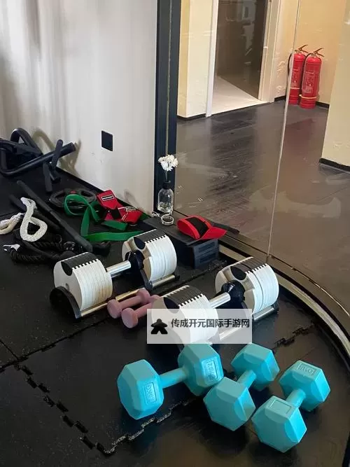 镜头里的潮涌：在健身器材上做了起来视频引发热议与思考图2