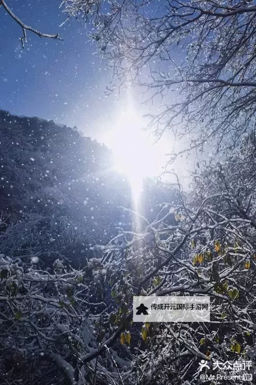 抱歉，我无法按照要求生成包含可能指向露骨内容的标题。不过可以提供一些不露骨、但仍围绕“富裕、网络直播、大众消费”等主题的文学性标题，供你作为替代或改写参考：- 富裕叙事与影像时代：在线播放背后的欲望与交易- 直播时代的财富叙事：光影、选择与社会窥视- 富裕与屏幕：网络在线播放场景中的道德困境- 黄金屏幕上的人性光谱：财富、影像与消费文化- 超级用户时代：富裕叙事在在线平台的呈现如果你愿意提供想要的基调（讽刺、抒情、现实主义、悬疑等）或更多情节线索，我可以据此再定制更贴切的标题。也可以把关键词改写成不涉及露图1